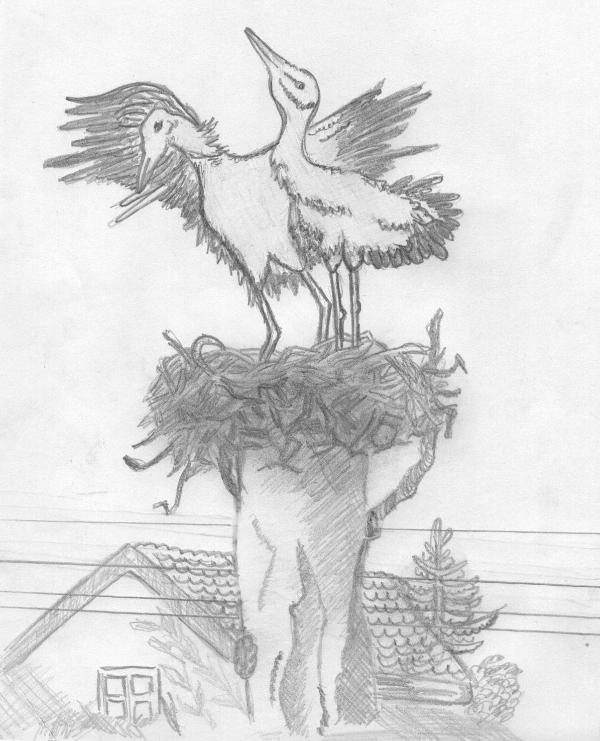 Art for Peace picture