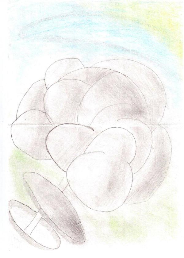 Art for Peace picture