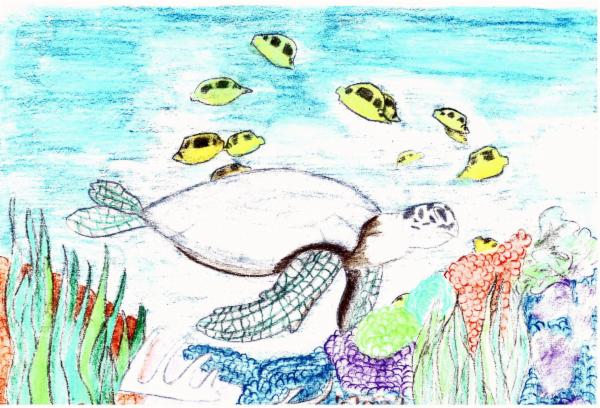 Art for Peace picture