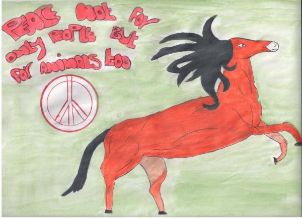 Art for Peace picture