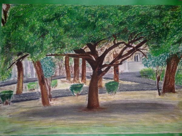 Art for Peace picture